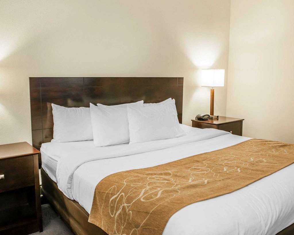 Comfort Suites Fort Wayne - Southwest Kamer foto